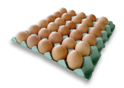 Handverlesene Bio-Eier
